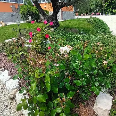 La Meridiana *
